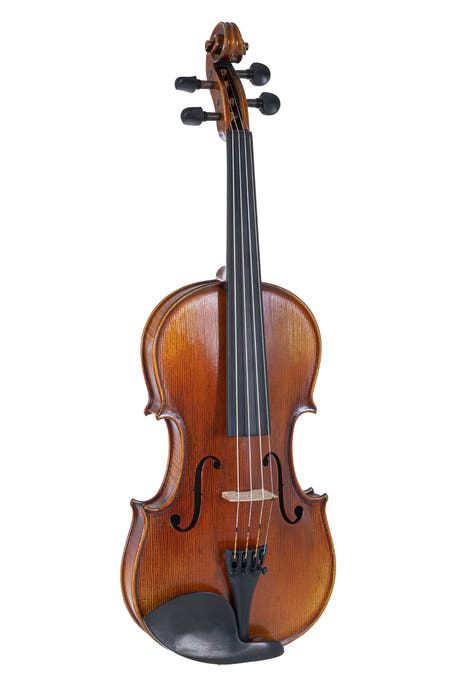 GEWA Violin Maestro 2 - 4/4 (Pronto per suonare incl. case sagomato, senza arco, con corde Il Cannone, protetto per il trasporto)