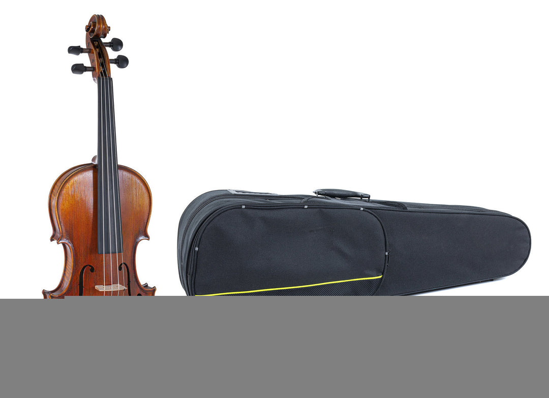 GEWA Violin Maestro 2 - 4/4 (Pronto per suonare incl. case sagomato, senza arco, con corde Il Cannone, protetto per il trasporto)