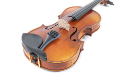 GEWA Violini Maestro 2 - 4/4 (Pronto per suonare, inclusa custodia per violini GEWA Bio, GEWA Carbon Bow Advanced e corde Il Cannone)