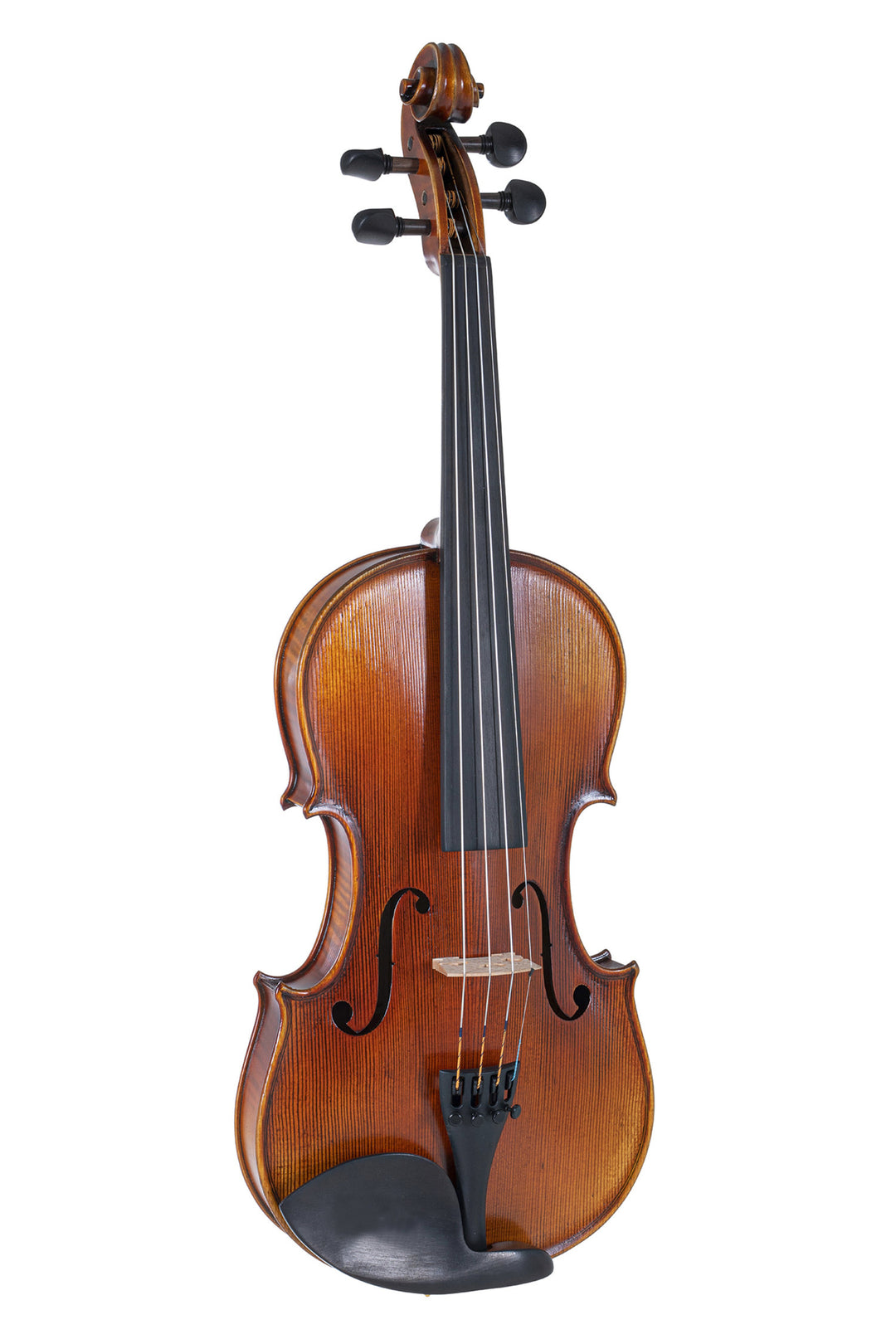 GEWA Violin Maestro 2 - 4/4 (Pronto per suonare, incl. custodia per violino sagomata GEWA Bio, senza archetto, con corde Il Cannone)