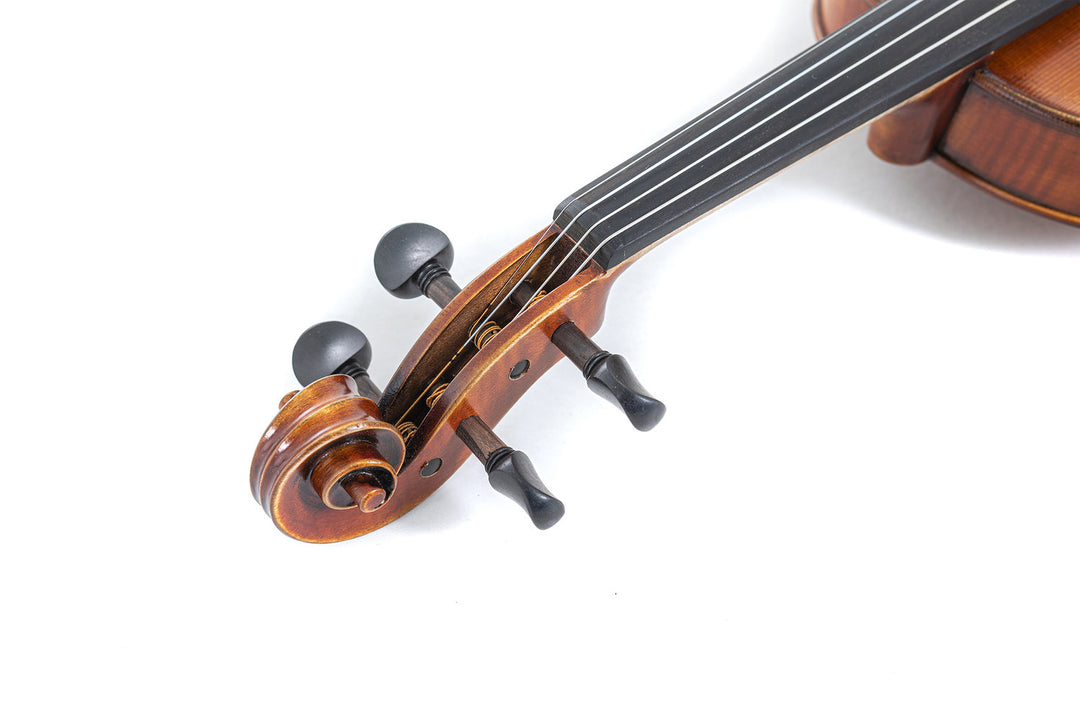 GEWA Violin Maestro 2 - 1/2 (Pronto per suonare incl. custodia per violino, senza archetto, con corde Larsen Aurora, protetto per il trasporto)
