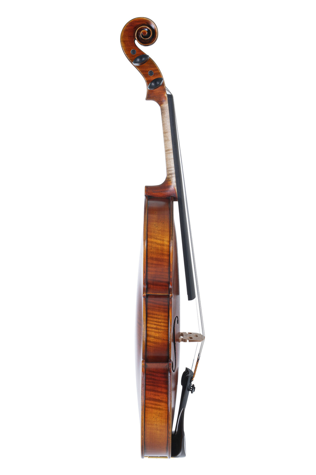 GEWA Violin Maestro 2 - 3/4 (Ready to play incl. violin case, carbon bow and Larsen Aurora strings, transport-secured)