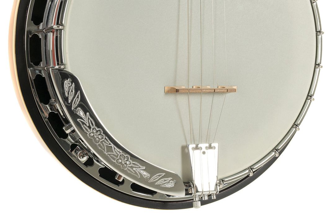 GEWA Banjo Premium - 4 corde (con case)