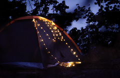 Aqiila Lightbird BL2 Glowlight