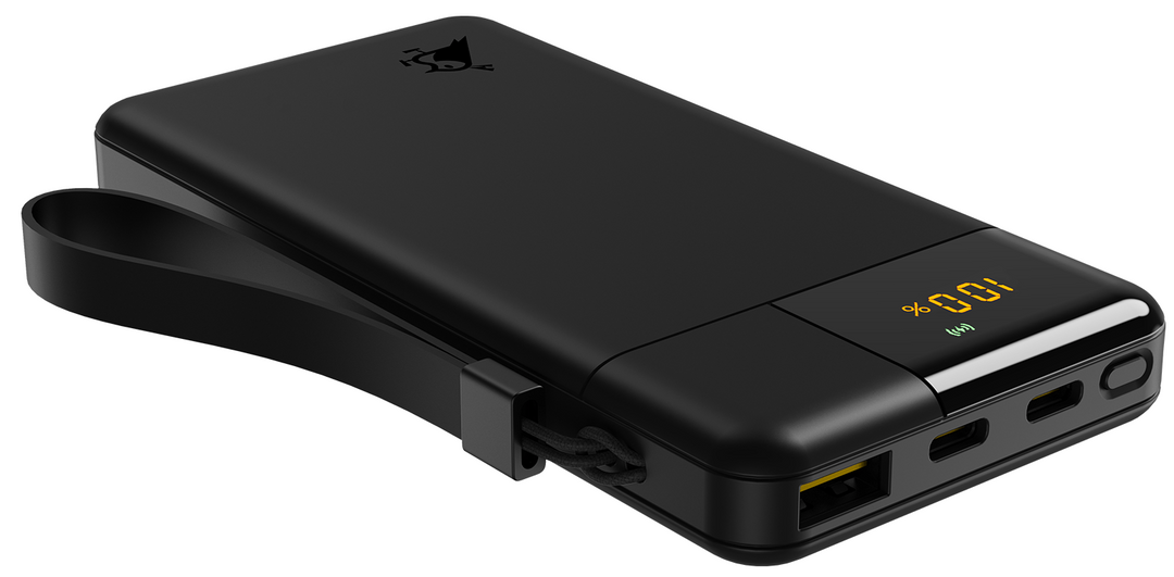 Aqiila Powerbird B10B 10000 mAh 20W Powerbank - Black