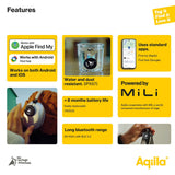 Aqiila Tagbird 4-pack