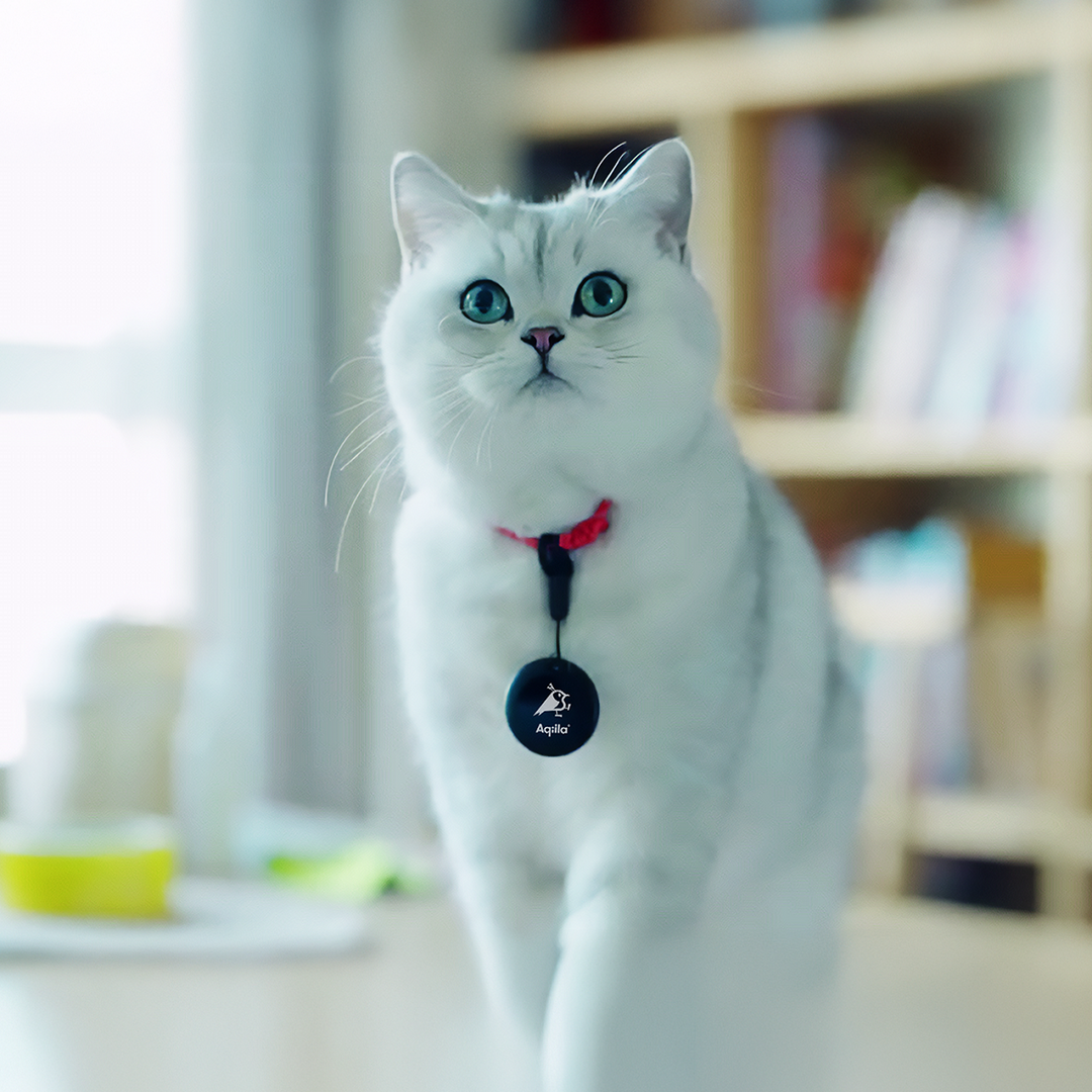 Aqiila Tagbird Bike Bell
