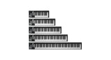 iCon Artist 25X USB Tastiere MIDI, 25 tasti