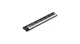 iCon Artist 88 USB Tastiere MIDI, 88 tasti