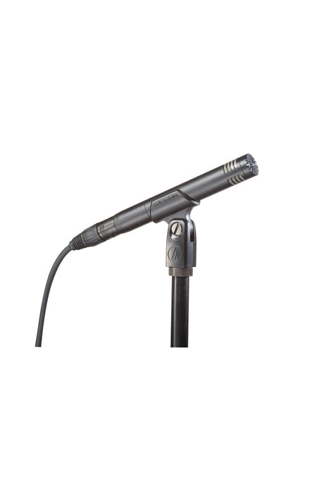 Audio-Technica AT2031 Microfono a Condensatore