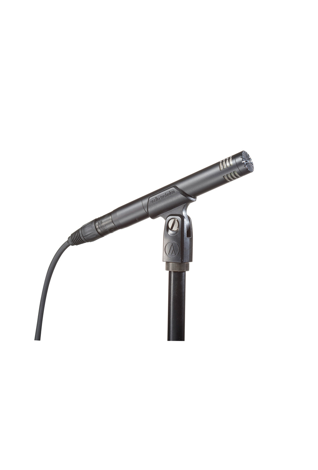 Audio-Technica AT2031 Microfono a Condensatore