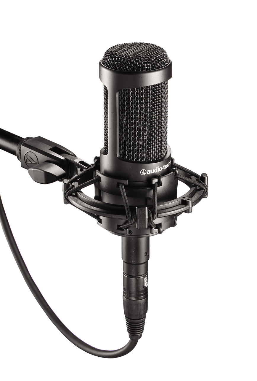 Audio-Technica AT2035 Microfono da Studio