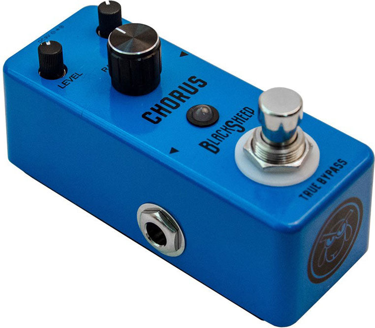 Black Sheep Chorus analogico