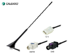 Antenna DAB + FM