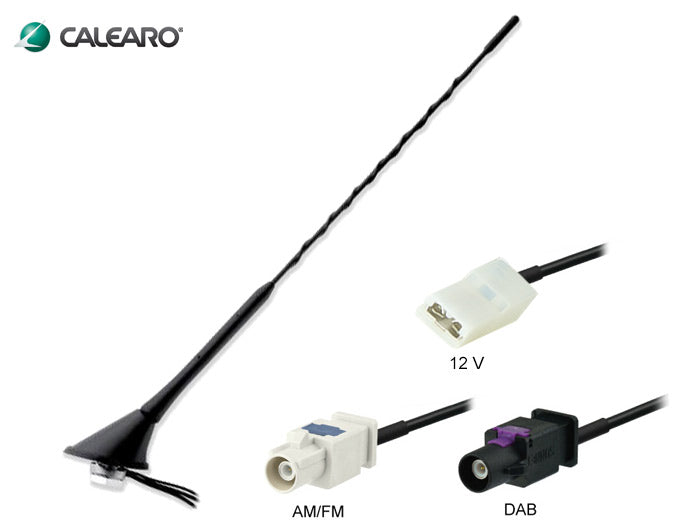 Antenna DAB + FM