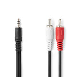 Cavo adattatore Minijack a RCA Phono (2m)