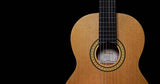 Pearl River CL20 chitarra classica