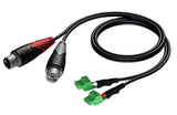 ProCab 2 x XLR hun > 2 x terminal blok 3P 3,81mm, 3 m