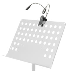 Doppia lampada a collo di cigno per spartiti