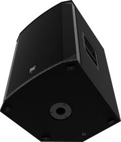 Electro-Voice EKX-15 - Altoparlante PA Passivo