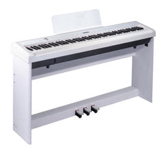 Grooveland P22 Pacchetto completo per pianoforte (Bianco)