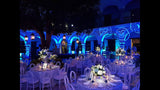 Chauvet Gobo Shot