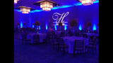 Chauvet Gobo Shot