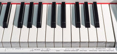 Grooveland DDP-140 El Klaver (Bianco)