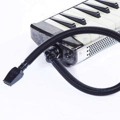 Hammond PRO-44HP V2 High Power Melodiche (Sort)