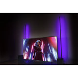 Ibiza Magic Color Stick RGB Floor Light (Black)