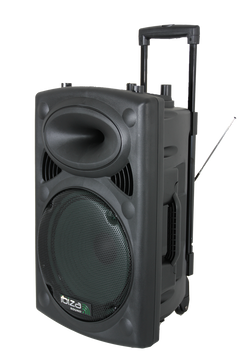 Ibiza Altoparlante Portatile con 15" Basso (Nero, 800W)