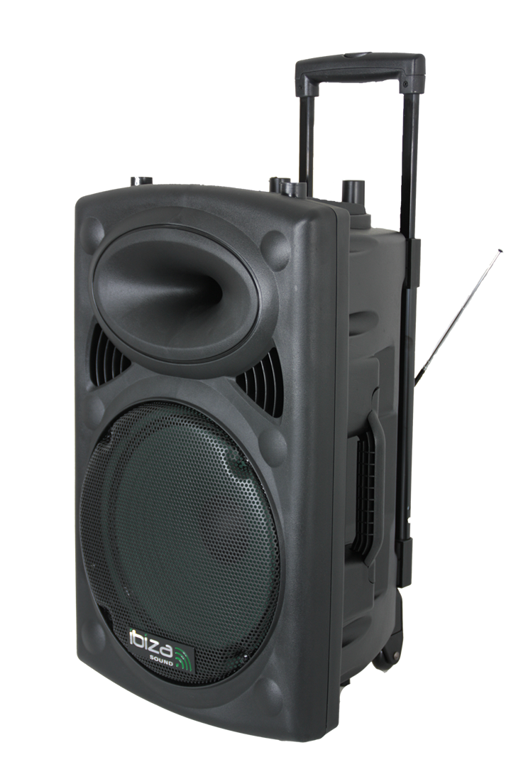 Ibiza Altoparlante Portatile con 15" Basso (Nero, 800W)