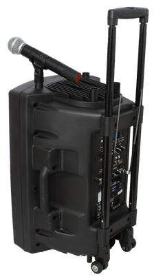 Ibiza Altoparlante Portatile con 15" Basso (Nero, 800W)