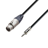 Adam Hall Cables 5 STAR MYF 0300 - Balanceret kabel Neutrik® XLR hun x Rean® minijack TRS | 3 m