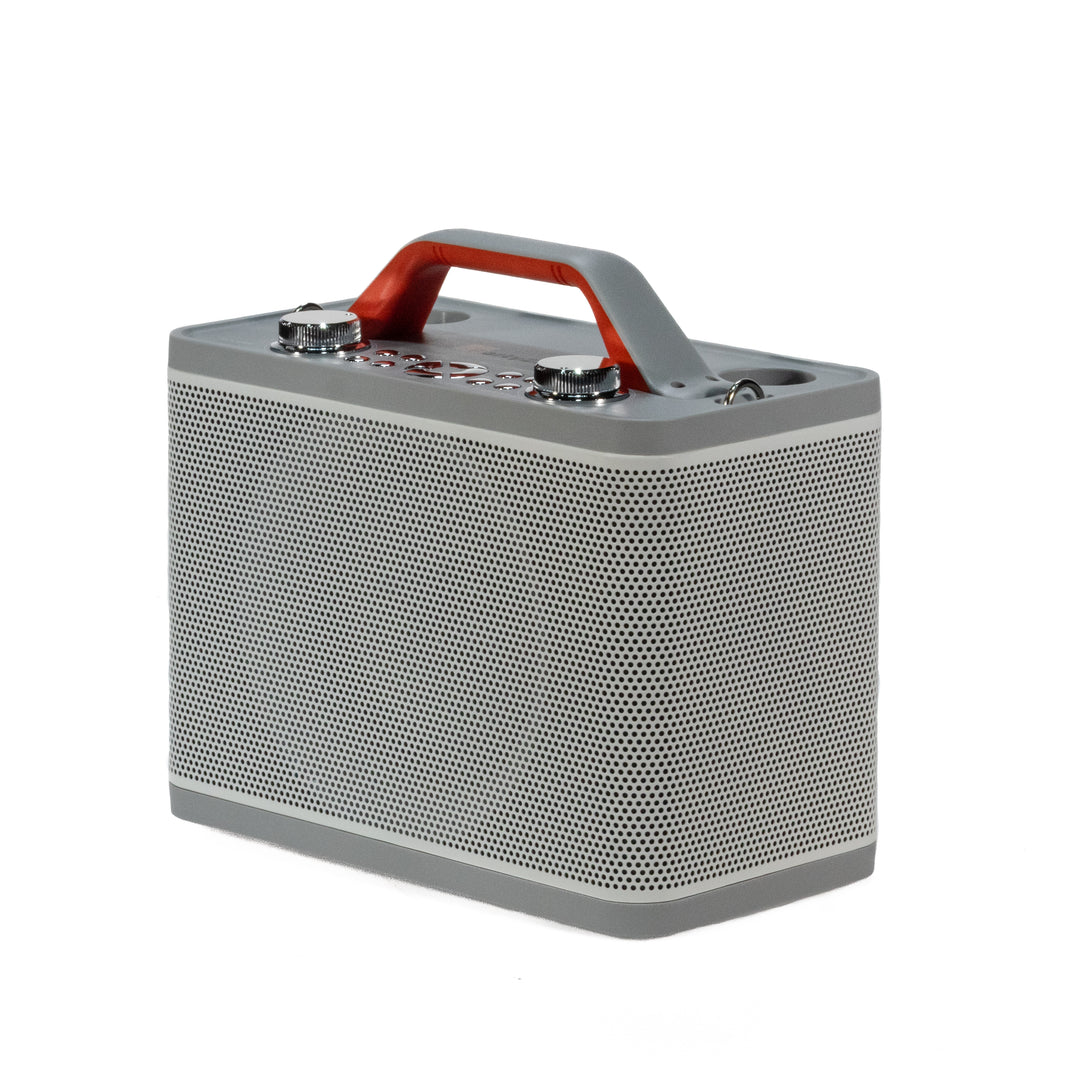 Impianto Karaoke con 2 Microfoni (Hvid)
