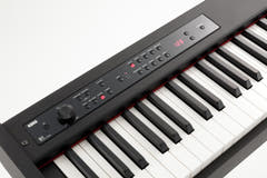 Korg D1 Pianoforte Elettrico (Nero)