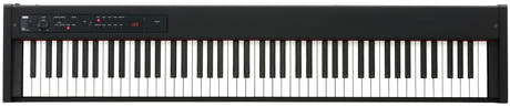 Korg D1 Pianoforte Elettrico (Nero)