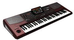 Korg PA-1000 Tastiere (Bordeux)