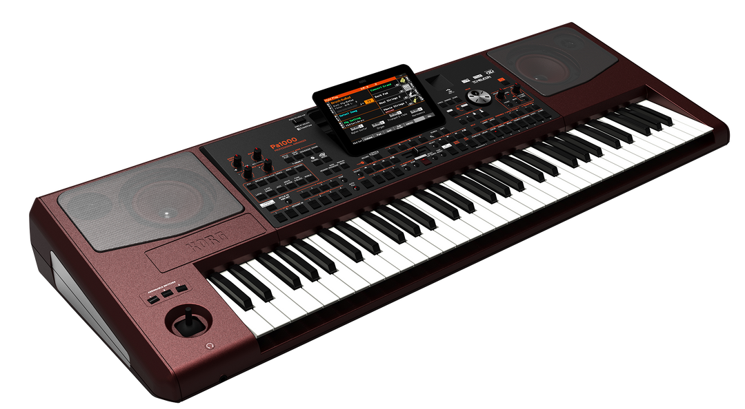 Korg PA-1000 Tastiere (Bordeux)