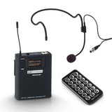 LD Systems Road Buddy 10 Portable Speaker