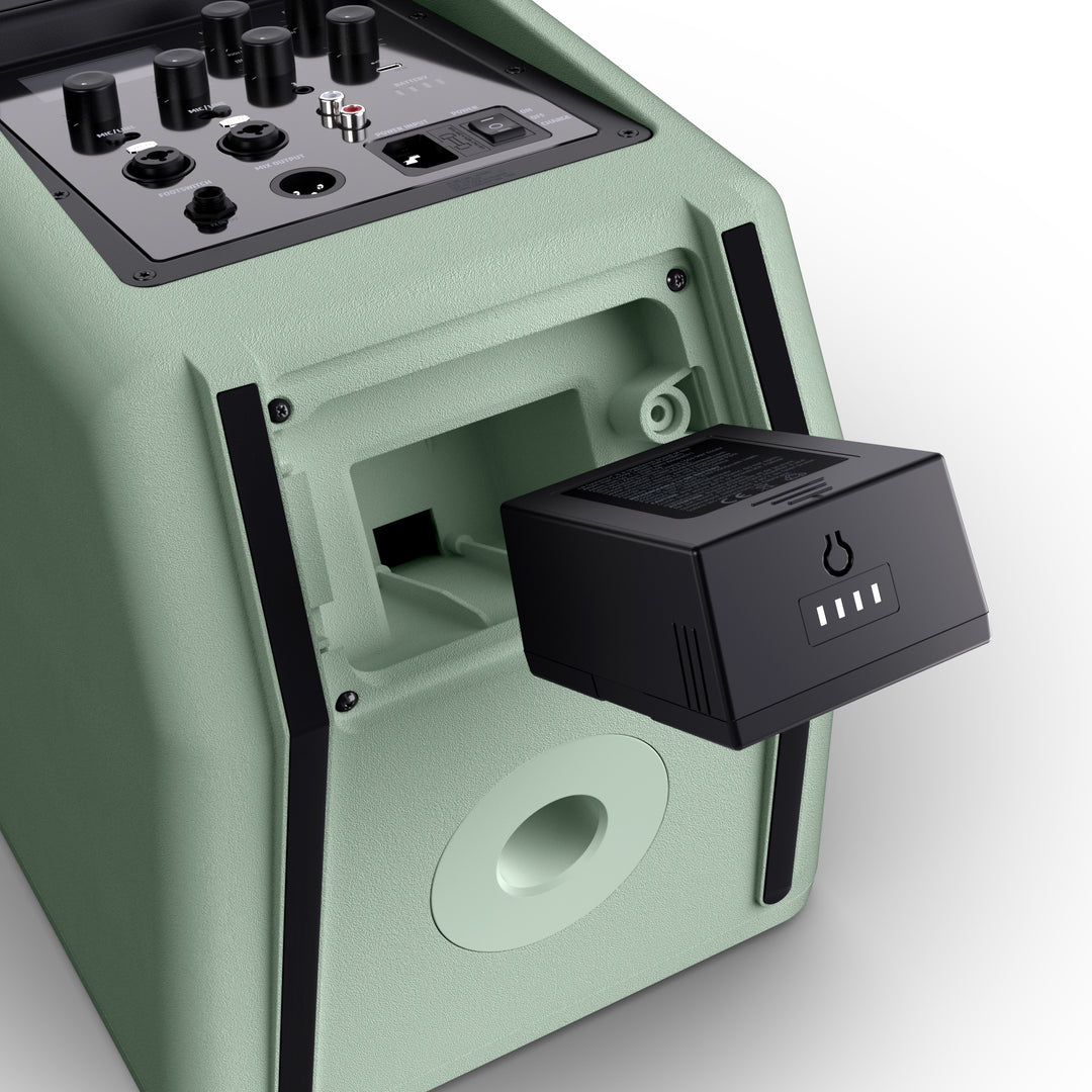 LD Systems ANNY® 8 HHD B5 GN - Altoparlante PA Bluetooth® portatile alimentato a batteria con mixer e 1x microfono palmare wireless, Adventure Green