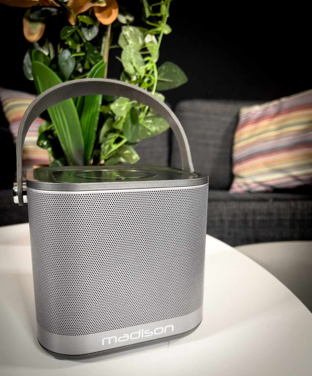Madison Altoparlante WiFi wireless