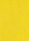 Yellow Runner (2 x 50 meters)