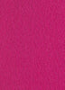 Pink Runner (2 x 50 meters)