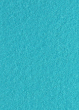 Turquoise Runner (2 x 50 meters)