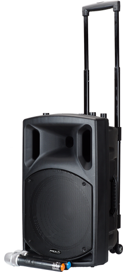 BST Nomad12 - Altoparlante per Festival (400W)