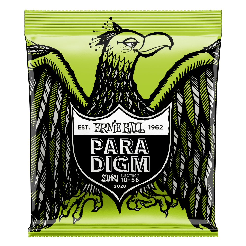 Ernie Ball Slinky Paradigm Corde per Chitarra (El-Guitar)