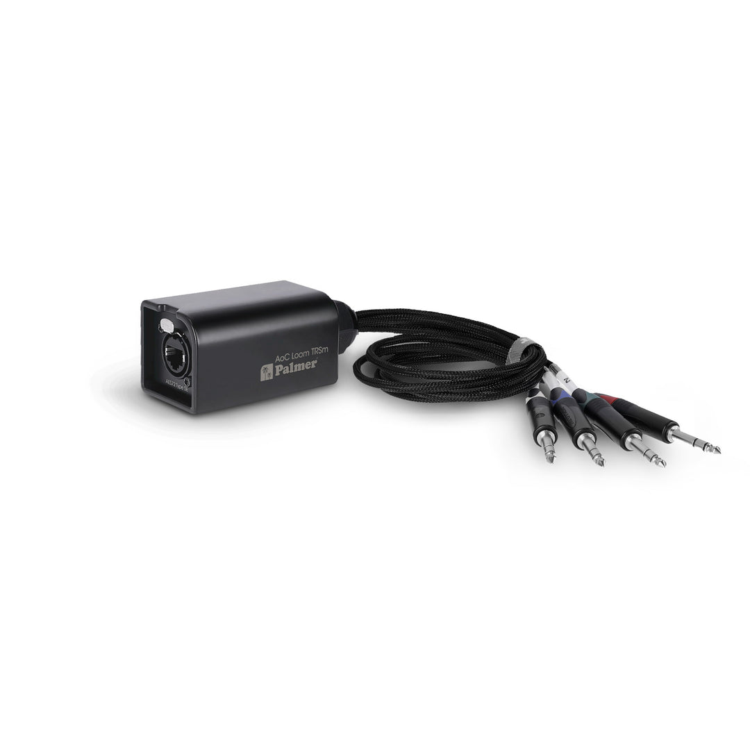 Palmer AoC Loom TRSm - Set di cavi audio su Cat da etherCON a 4 jack TRS da 6,3 mm