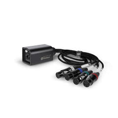 Palmer AoC Loom XLRf - Cavo Audio over Cat da etherCON a 4 connettori XLR femmina
