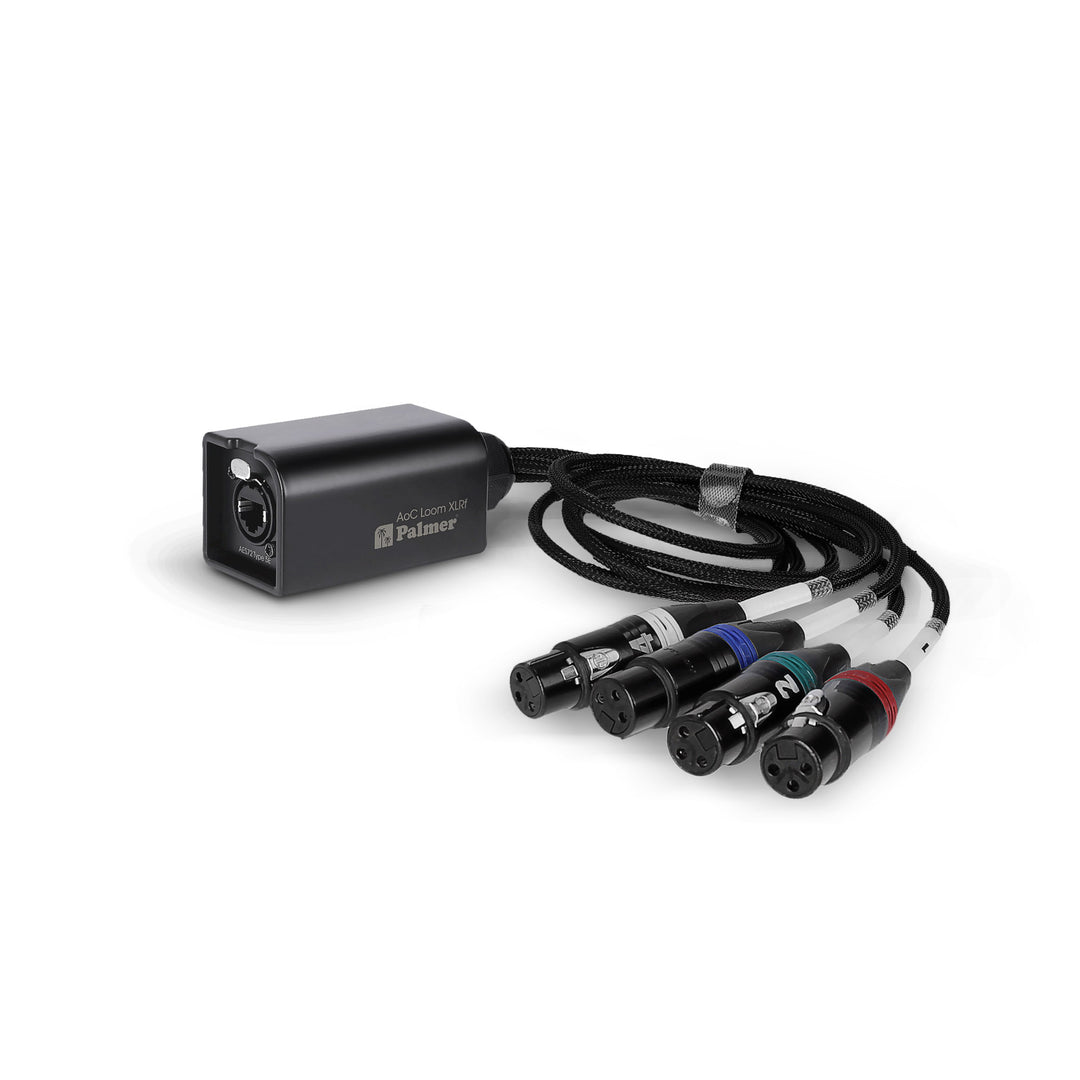 Palmer AoC Loom XLRf - Cavo Audio over Cat da etherCON a 4 connettori XLR femmina